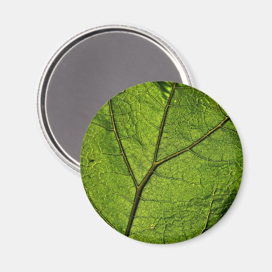 Green Butterbur Leaf Magnet (Vorderseite/Rückseite)
