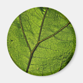 Green Butterbur Leaf Magnet