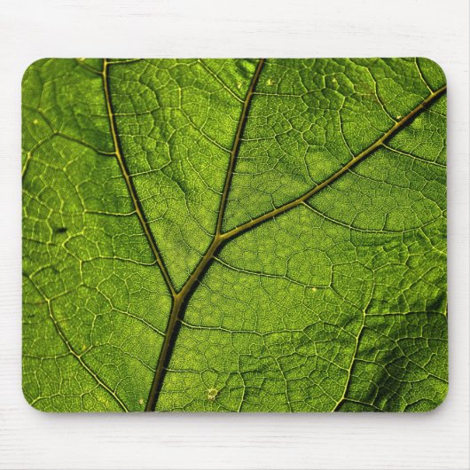 Green Butterbur Leaf Mousepad (Vorne)