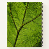 Green Butterbur Leaf Notizblock (Rückseite)