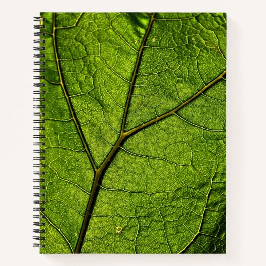 Green Butterbur Leaf Notizblock (Vorderseite)