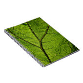 Green Butterbur Leaf Notizblock (Rechte Seite)