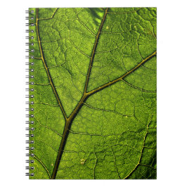 Green Butterbur Leaf Notizblock