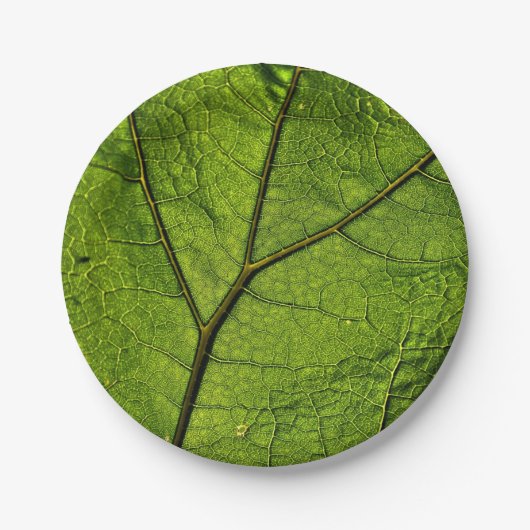 Green Butterbur Leaf Pappteller (Vorderseite)