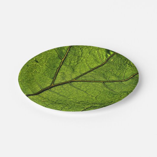 Green Butterbur Leaf Pappteller (Schrägansicht)