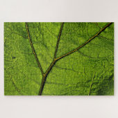 Green Butterbur Leaf Puzzle (Horizontal)