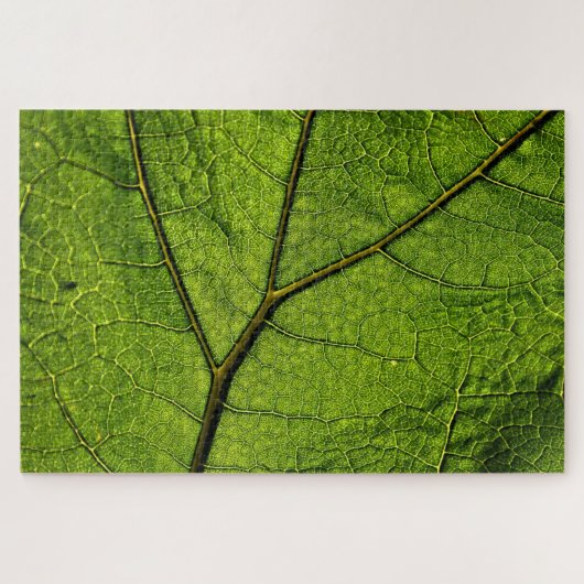 Green Butterbur Leaf Puzzle (Horizontal)