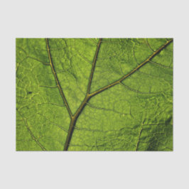 Green Butterbur Leaf Seidenpapier