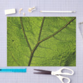 Green Butterbur Leaf Seidenpapier (Handwerk)