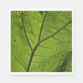 Green Butterbur Leaf Serviette