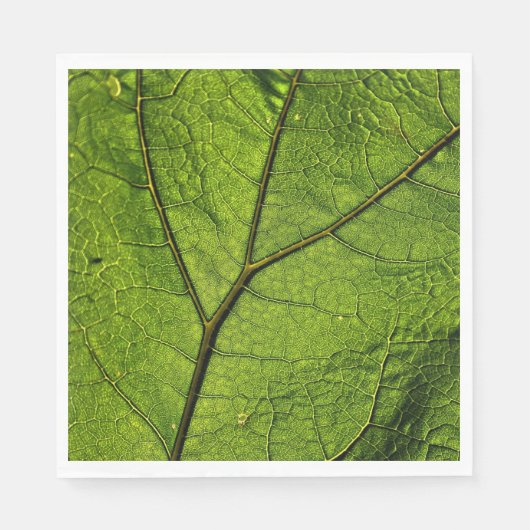 Green Butterbur Leaf Serviette (Vorderseite)
