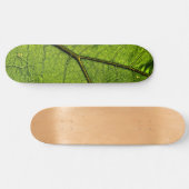 Green Butterbur Leaf Skateboard (Horizontal)