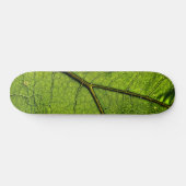 Green Butterbur Leaf Skateboard (Horizontal)