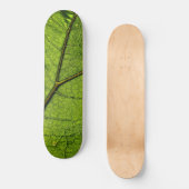 Green Butterbur Leaf Skateboard (Vorderseite)