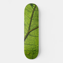 Green Butterbur Leaf Skateboard
