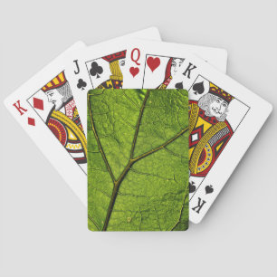 Green Butterbur Leaf Spielkarten