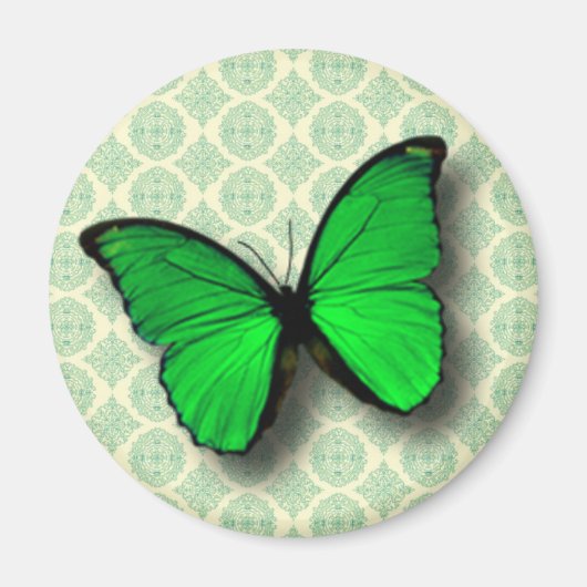 Green Butterfly auf Vintagem Muster Magnet (Vorne)