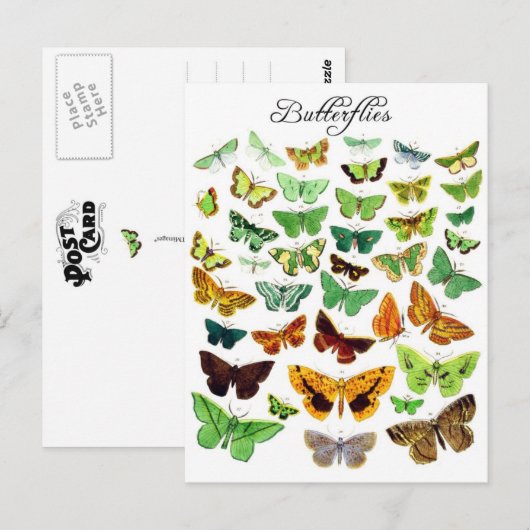 Green Butterfly Collection Postkarte (Vorne/Hinten)