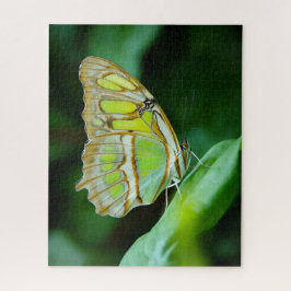 Green Butterfly Jigsaw Puzzle