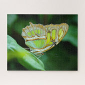 Green Butterfly Jigsaw Puzzle (Horizontal)