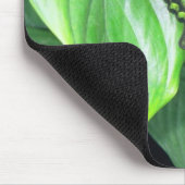 Green Butterfly Mousepad (Ecke)