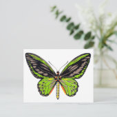 Green Butterfly Postkarte (Stehend Vorderseite)