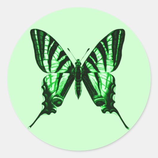Green Butterfly Sticker (Vorderseite)