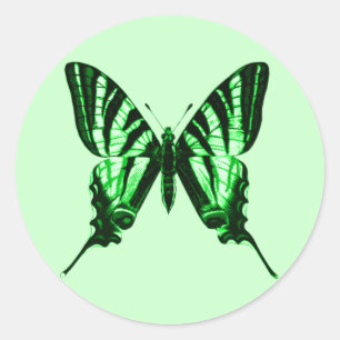 Green Butterfly Sticker