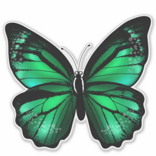 Green Butterfly Vinyl Sticker (Vorderseite)