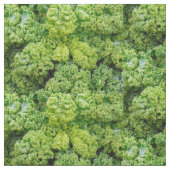 Green cabbage stoff (Nahaufnahme)