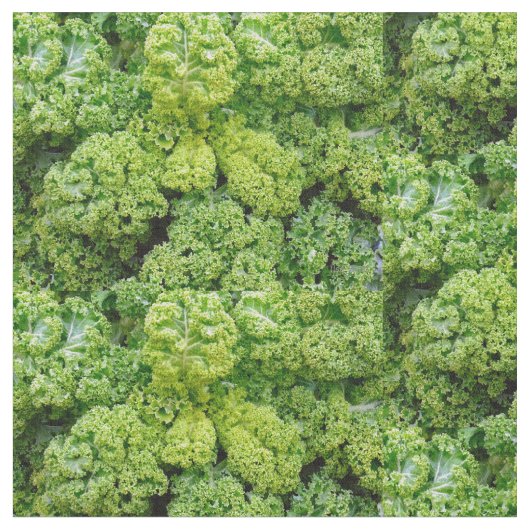 Green cabbage stoff (Nahaufnahme)