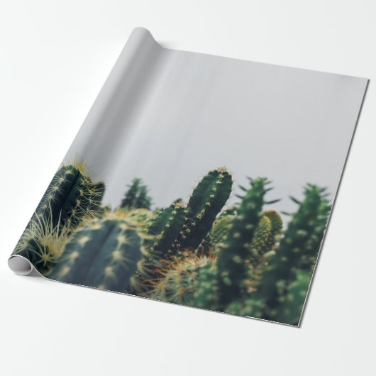 GREEN CACTI GESCHENKPAPIER (Ungerollt)