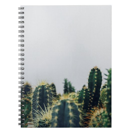GREEN CACTI NOTIZBLOCK (Vorderseite)