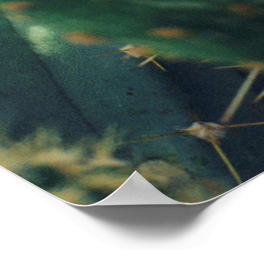 GREEN CACTI POSTER (Ecke)