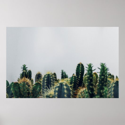 GREEN CACTI POSTER (Vorne)