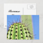 Green Cactus Thorns Postkarte (Vorne/Hinten)
