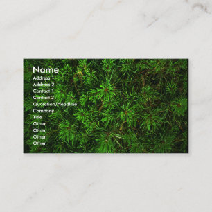 green_card visitenkarte