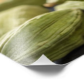 Green Cardamom Pods Macro Zoom Aromatic Spice Text Fotodruck (Ecke)