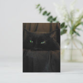 Green Cat Eyes Postcard Postkarte (Stehend Vorderseite)
