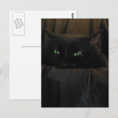 Green Cat Eyes Postcard Postkarte (Vorne/Hinten)