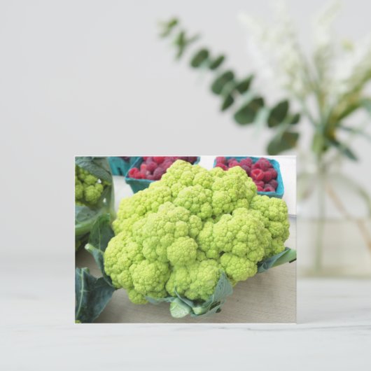 Green Cauliflower Postkarte (Stehend Vorderseite)