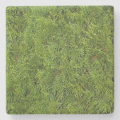 Green Cedar Limbs Square Untersetzer (Vorderseite)