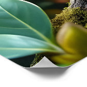 Green Chameleon umgeben von üppigen Blättern Poster (Ecke)