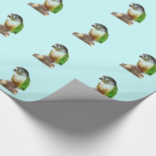 Green Cheek Conture Geschenkpapier (Ecke)