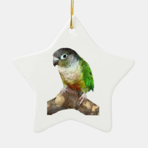 Green Cheek Conture Keramikornament