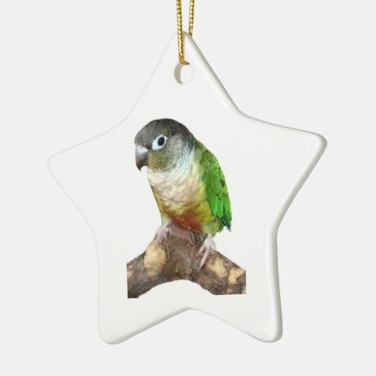 Green Cheek Conture Keramikornament (Links)