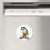 Green Cheek Conture Magnet (In Situ (Geschirrspüler))