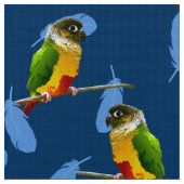 Green Cheek Conure Parakeet Fun Bird Blue Feathers Stoff (Nahaufnahme)