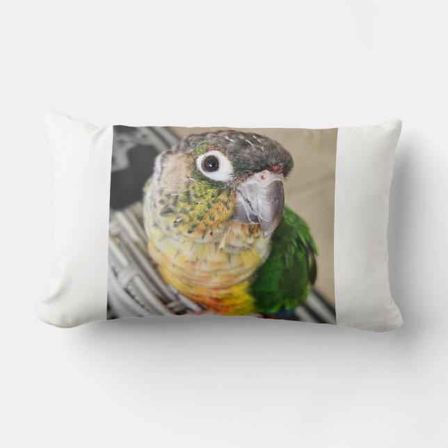 Green Cheek Conure Parrot Lendenkissen (Vorderseite)