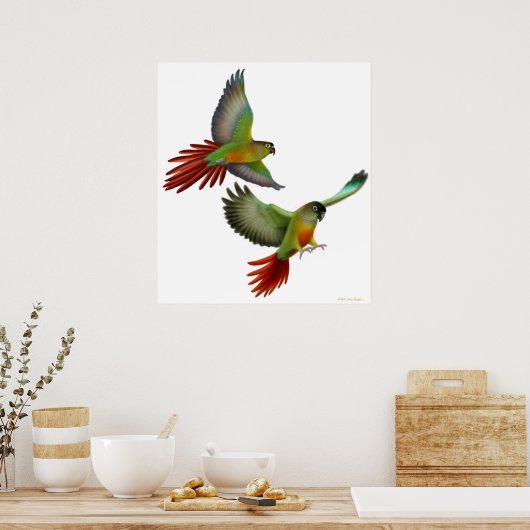 Green Cheek Conures Poster (Küche)